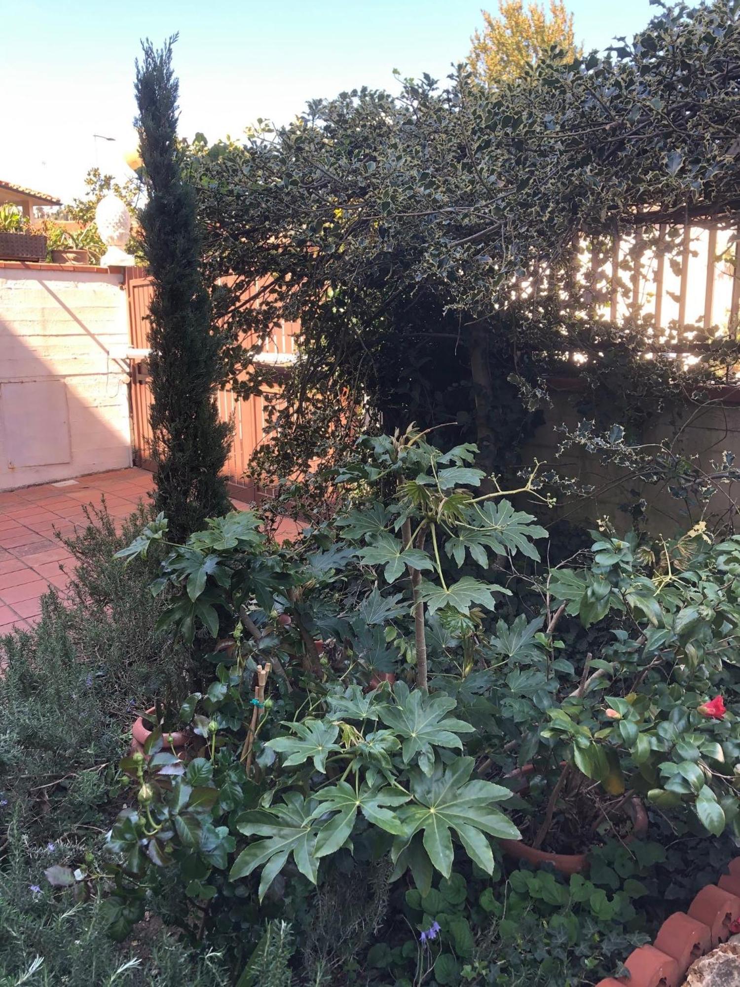 ססטו פיורנטינו La Villa Bianca - Appartamento In Villa מראה חיצוני תמונה
